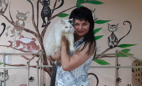 «Тому що це - мої діти…»: зооволонтерка з Нікополя Неля Ібрагімова про діяльність притулку для котів