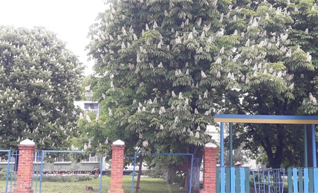 Про Верхосулку – з любов’ю і трохи – з сумом