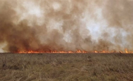 Знову горів асканійський степ