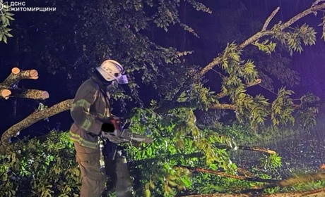 Через негоду на Житомирщині попадали дерева та частково відсутнє електропостачання