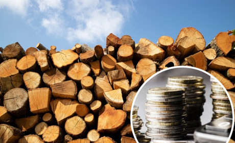 До уваги жителів Білопільщини: подачу заяв на тверде паливо продовжено до 25 вересня