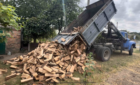 "Продаж дров за доступною ціною": жительку Звягельщини обманули шахраї