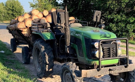 На Сарненщині селянин незаконно перевозив колоди сосни