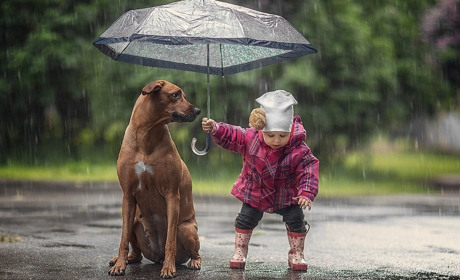 Дощі та грози: найближчими днями погода на Сумщині не порадує