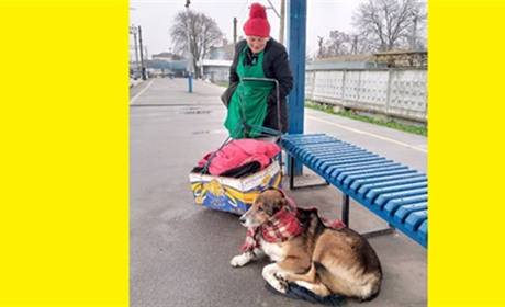 Коля…Історія одного пса