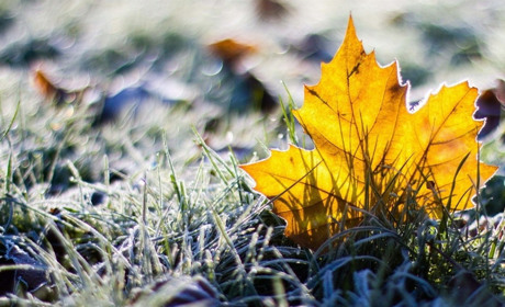 На Сумщину йдуть заморозки: детальний прогноз погоди на найближчі дні