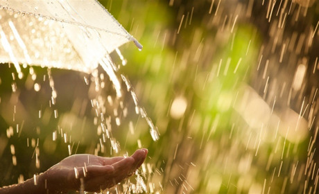 На Сумщині у перші дні серпня прогнозують короткочасні дощі