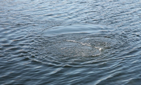 Лето началось: в реке утонул ребенок 