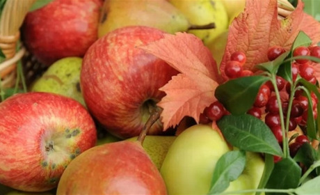 Яблучний Спас 2023: усе про свято та чому не можна їсти яблука до цього