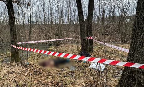 Двоє жителів Житомирщини на замовлення росіянина вбили приятеля за 30 тисяч, а потім – незнайомця