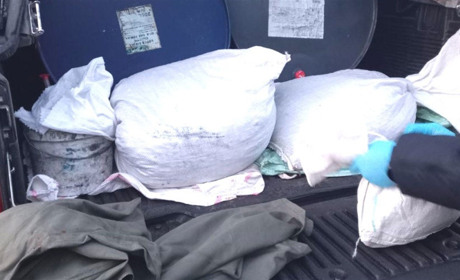 У Сарненському районі вилучили бурштин вартістю 3000 доларів