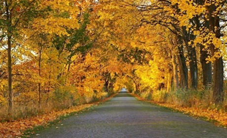 Сухо, тепло і туман: прогноз погоди на Сумщині та в Україні на вихідних