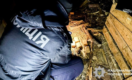 У жителів Сарненського району вилучили гранати й нелегальну деревину