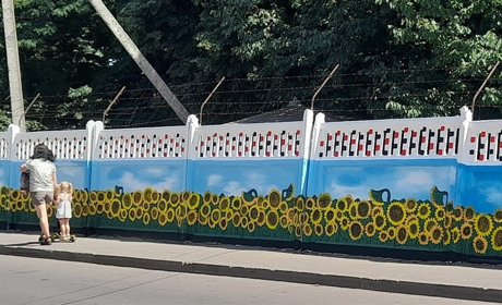 У Калинівці на вулиці Маяковського «зацвіли» соняхи