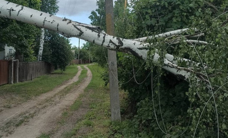 Менщину знову накрив буревій: пошкоджені будинки, повалені дерева, знеструмлені села
