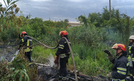 У Сватівському районі у останню неділю червня сталися дві пожежі. Що і де горіло (відео)