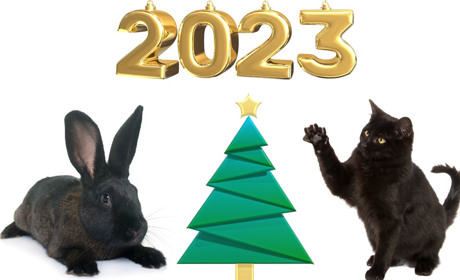 Cимвол нового 2023 року за східним календарем