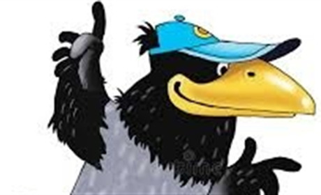 Сорока на хвості принесла: новини Сірогозщини за тиждень кількома рядками
