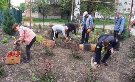 У старостинських округах Покровської громади висадили різнокольорові петунії