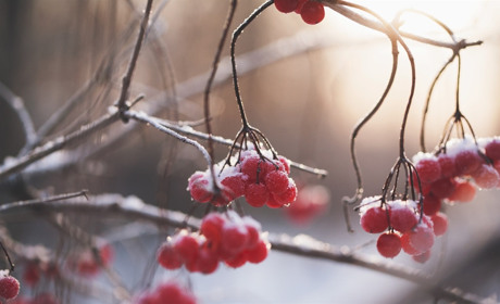 Якою буде погода на Сватівщині у останні дні лютого 2021: прогноз з 22 по 28 лютого