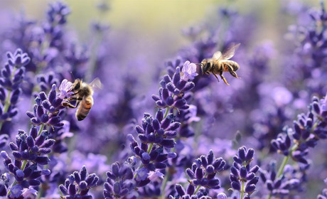 Якою буде погода у Сватовому і районі з 8 по 14 червня: прогноз на тиждень