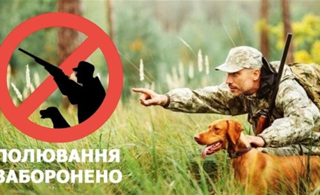 На Сумщині полювати можна лише на окупантів: пояснює Держекоінспекція Сумщини