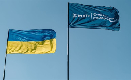 Старинська птахофабрика сплатила майже 597 млн грн податків за 2025 рік