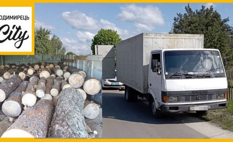 Біля Половель водій вантажівки намагався відкупитися за перевезення незаконної деревини