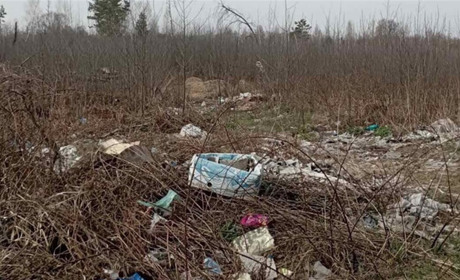 У міськради з Сарненського району вимагають ліквідувати незаконне звалище сміття
