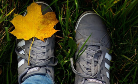 Осінь близько: яку погоду прогнозують синоптики на останній день серпня - початок вересня