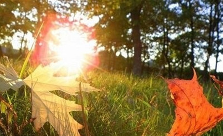 День осіннього рівнодення: що робити, щоб жити в достатку