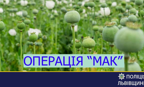 Операція "Мак": на Львівщині поліцейські виявляють і знищують незаконні посіви маку та коноплі