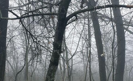 У Волноваському районі чоловік планував накласти на себе руки: поліцейські встигли вчасно