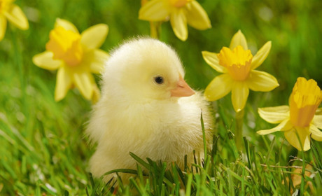 Яку погоду обіцяють синоптики білопільцям цього тижня?