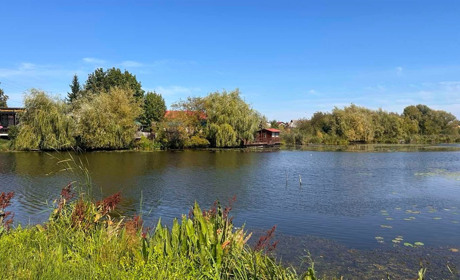 Погода у Старокостянтинові на 8-14 вересня: чи здивує погодою цей тиждень