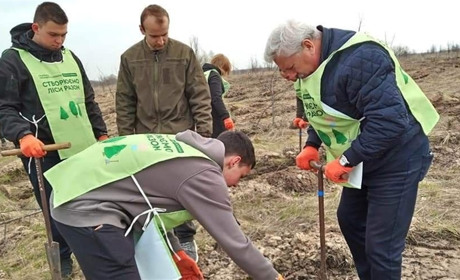 На Гадяччині засадили молодими деревами майже 250 гектарів лісів