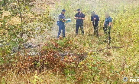 Жителя Сарненського району оштрафували за підпал гілля на власній ділянці