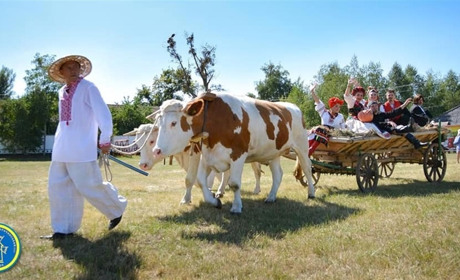 Сорочинський ярмарок працюватиме після того, як налагодиться безпекова ситуація