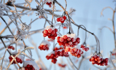 Погода у Сватовому на тиждень: прогноз із 7 по 13 лютого 2022