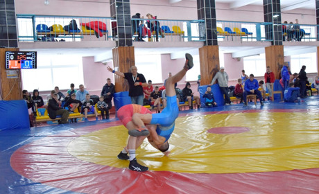 У Жмеринці пройшов обласний чемпіонат з греко-римської боротьби: відбір на чемпіонат України