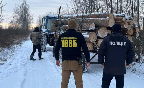 У селі Сарненського району зупинили перевізника незаконної деревини