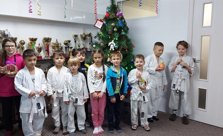 У Первомайській Федерації Кіокушин Карате провели конкурс на кращу новорічну іграшку