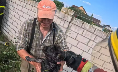 У Сарнах з дна колодязя дістали песика