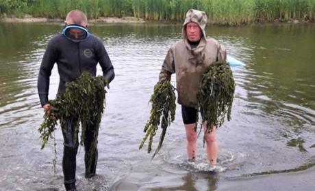 Дитячий пляж у Біляївці вже готовий до сезону: провели аналіз води, завершують деякі авральні роботи