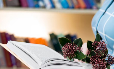 Підручники з української літератури для 7 класу: що вибрати?