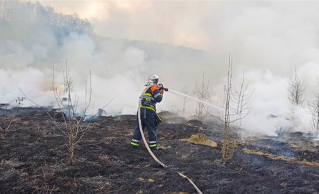 За добу у Віницькій області рятувальники ліквідували вісім пожеж. Одну з них у с. Чемериси Барські