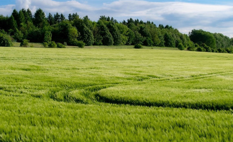 Прокуратура конфіскували землю Копайгородщини, яка належала громадянину російської федерації
