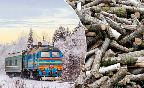 Залізниця попереджає: за самовільну рубку дерев – кримінальна відповідальність