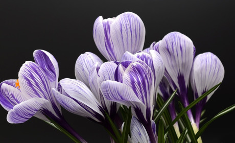 На Сватівщині потеплішає до +20, а ще очікуються дощі: якою буде погода з 12 по 18 квітня 2021