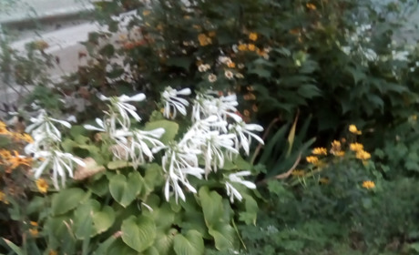 Яким буде вересень